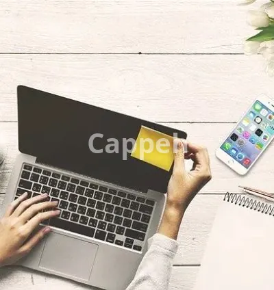 I will write professional content for your blog or website