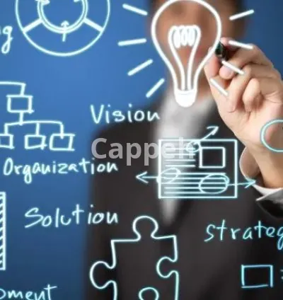 I will do a professional analysis of strategic management case study