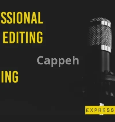 I will clean, edit, fix and convert your audio file