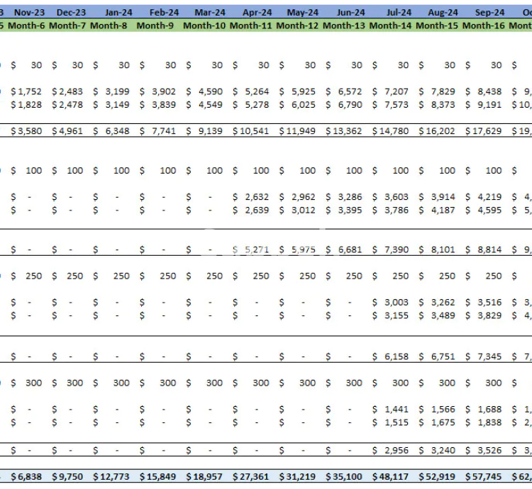 I will provide a financial model for your saas business