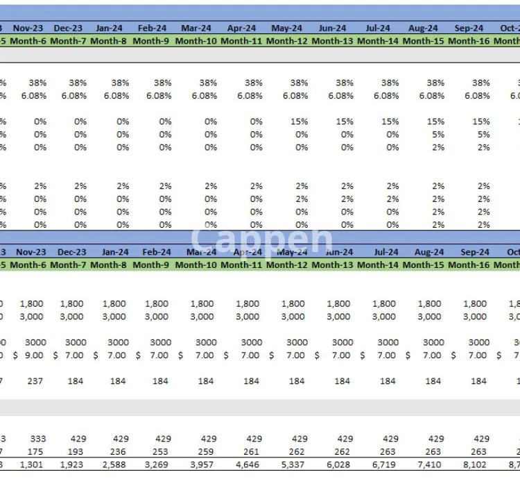 I will provide a financial model for your saas business