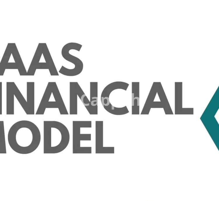 I will provide a financial model for your saas business