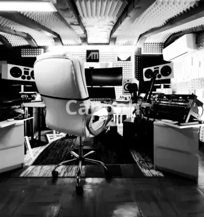 I will provide professional services for your podcasts