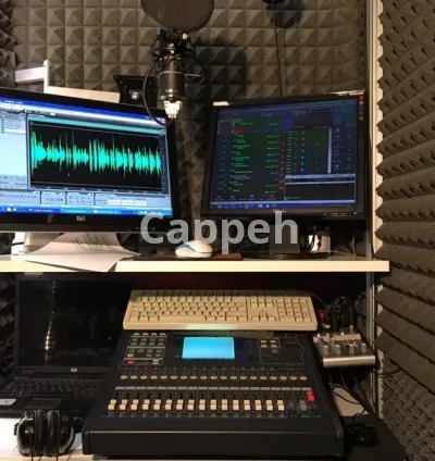 I will produce a professional radio commercial for you