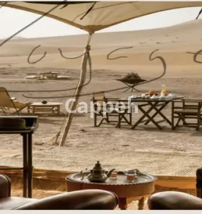 I will record a quality voiceover in french for your video projects