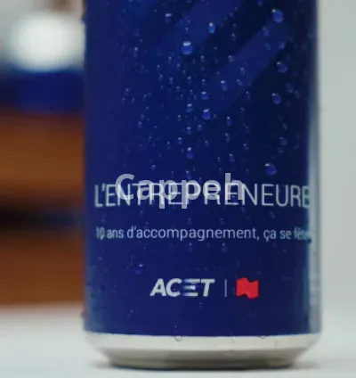 I will deliver a professional french canadian male voiceover