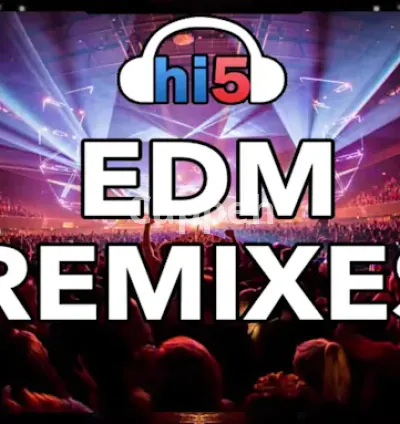 I will make a professional edm remix