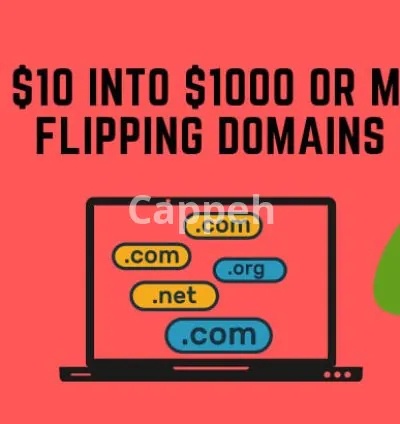 I will show you how to turn 10 dollars into 1000 flipping domains
