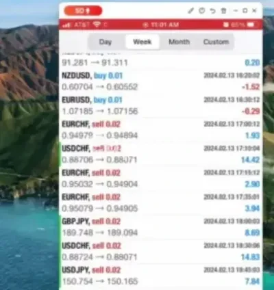 I will help you with no loss forex trading, unlimited consultation and trades