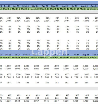 I will provide a financial model for your saas business
