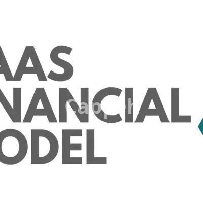 I will provide a financial model for your saas business