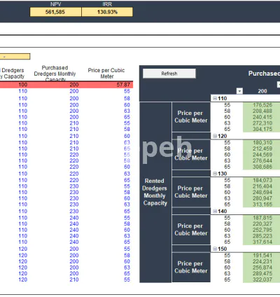 I will prepare fully customized financial models