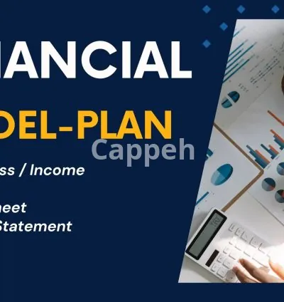 I will do investor ready financial plan and model in one day