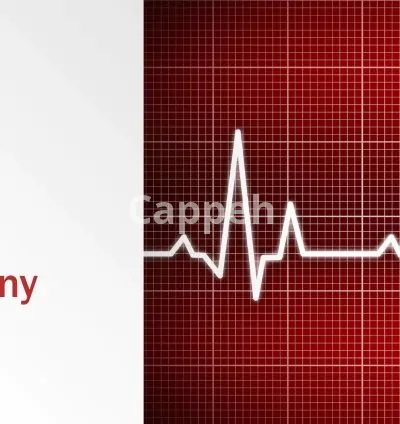 I will provide expert finance consulting for your business