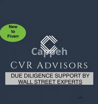 I will conduct merger and acquisition business due diligence with a summary risk report