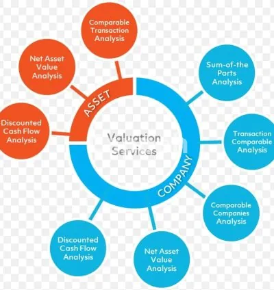 I will do financial projections and business valuation
