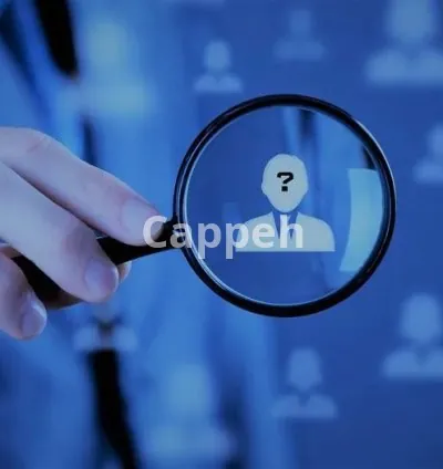 I will do osint online investigation and background check as your private investigator