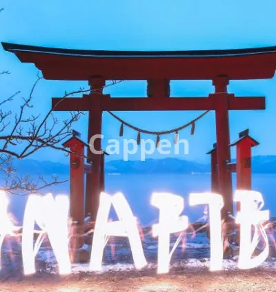 I will take any kind of pictures in tokyo for you