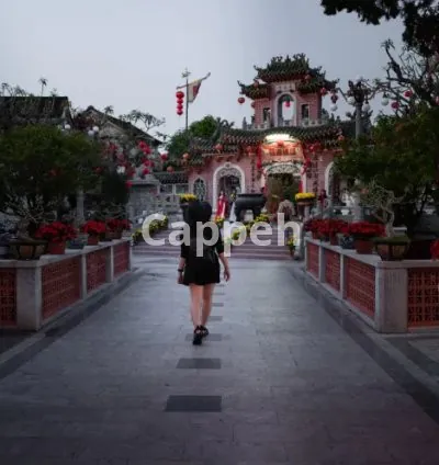 I will be your personal photographer in los angeles