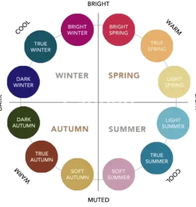 I will create a personal color palette with your best colors, seasonal analysis
