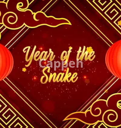 I will make this best chinese new year greetings video