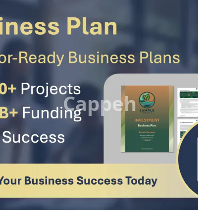 Our agency will prepare an investor ready business plan