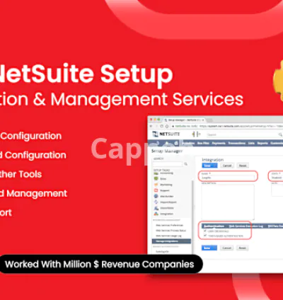 I will setup netsuite with customization and management services
