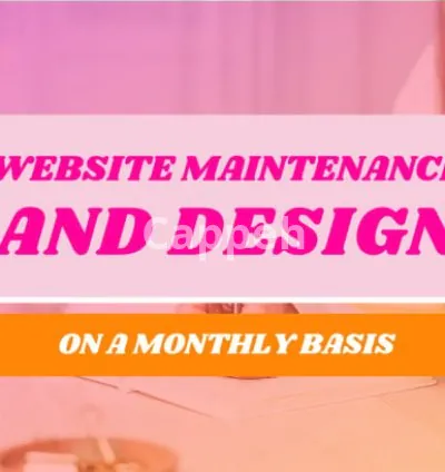 I will wordpress website monthly maintenance and design