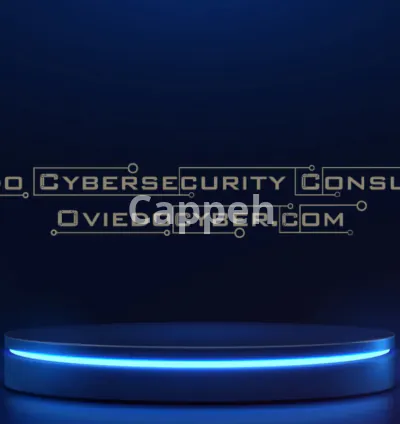 I will review cyber insurance and msp services