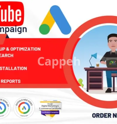 I will create, optimize and manage your youtube ads